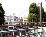 PIC40015.jpg