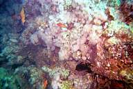 pict002.jpg
