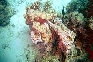 pict003.jpg