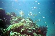 pict025.jpg