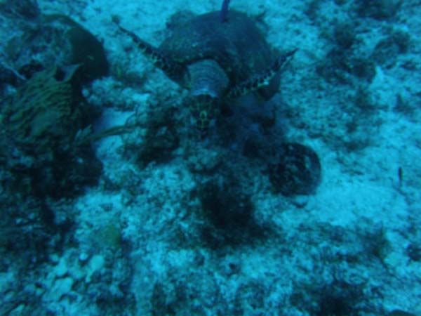 P3210017