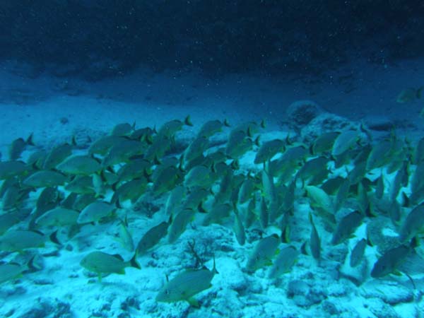 P3210056