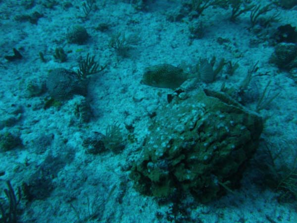 P3210062