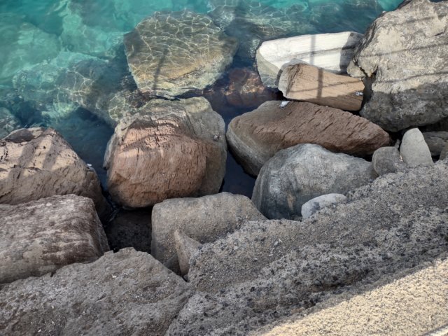 img_20220205_151919598_hdr.jpg